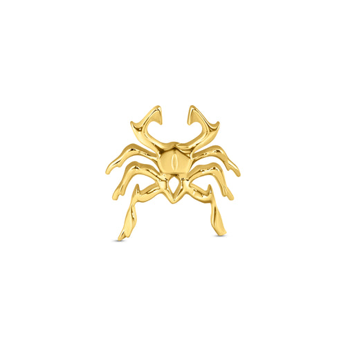 Cyber Spider
