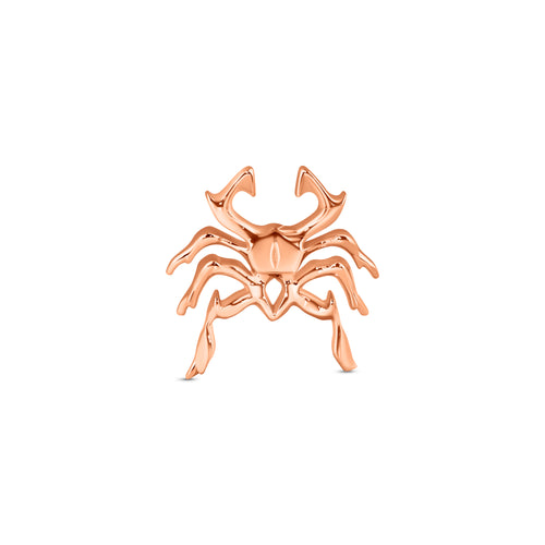 Cyber Spider