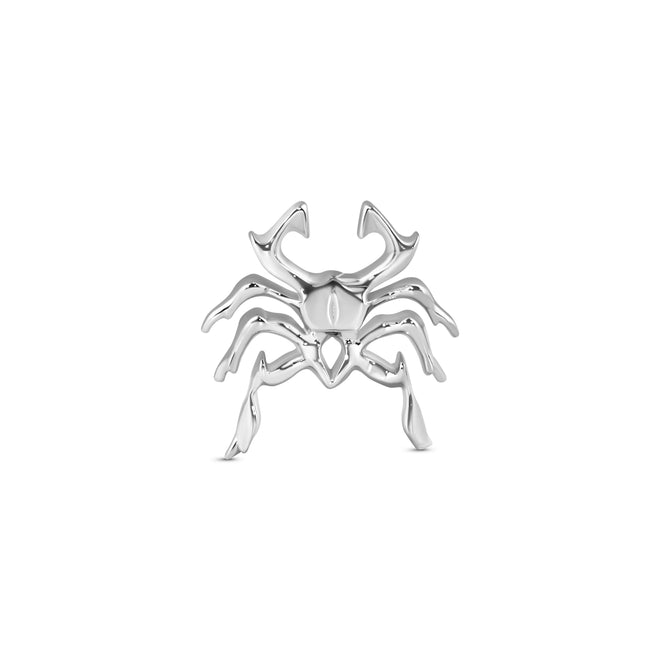 Cyber Spider