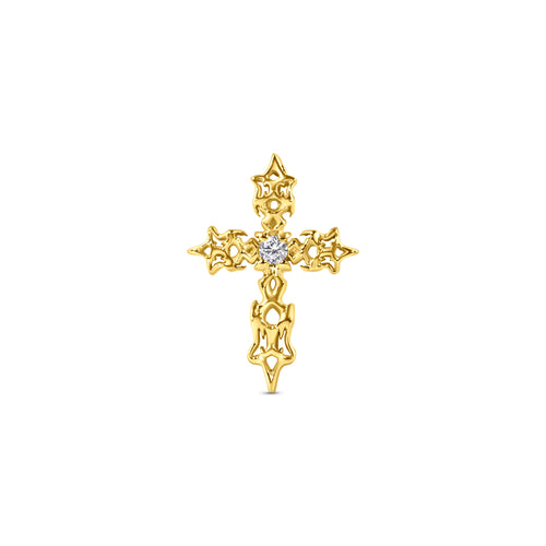 Cyber Cross