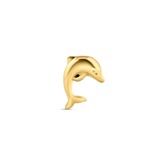 Dolphin
