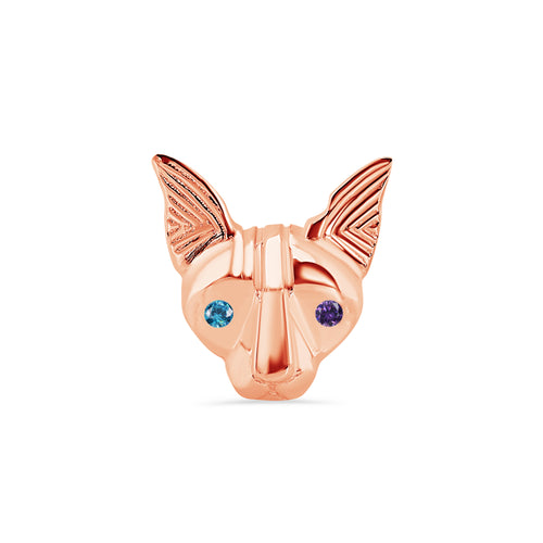 Sphynx Cat