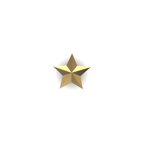 Star Tooth Jewelry