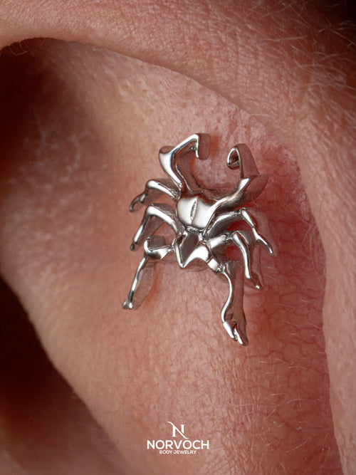 Cyber Spider