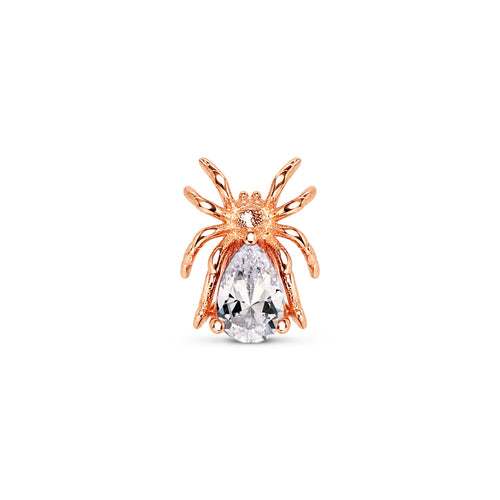 Wolf Spider