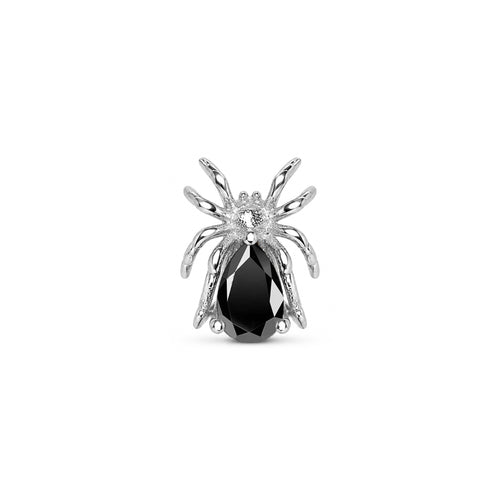 Wolf Spider