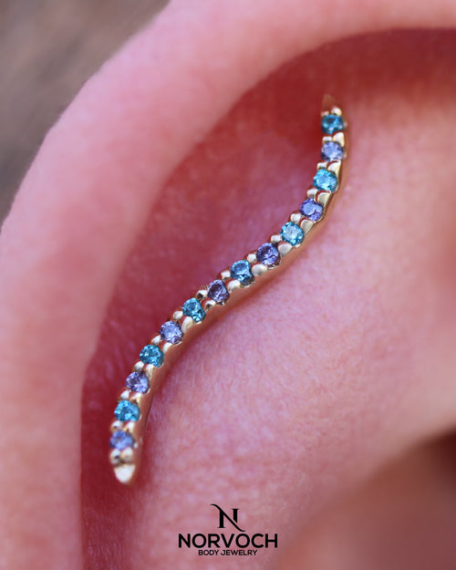 Path With Gems Zebra